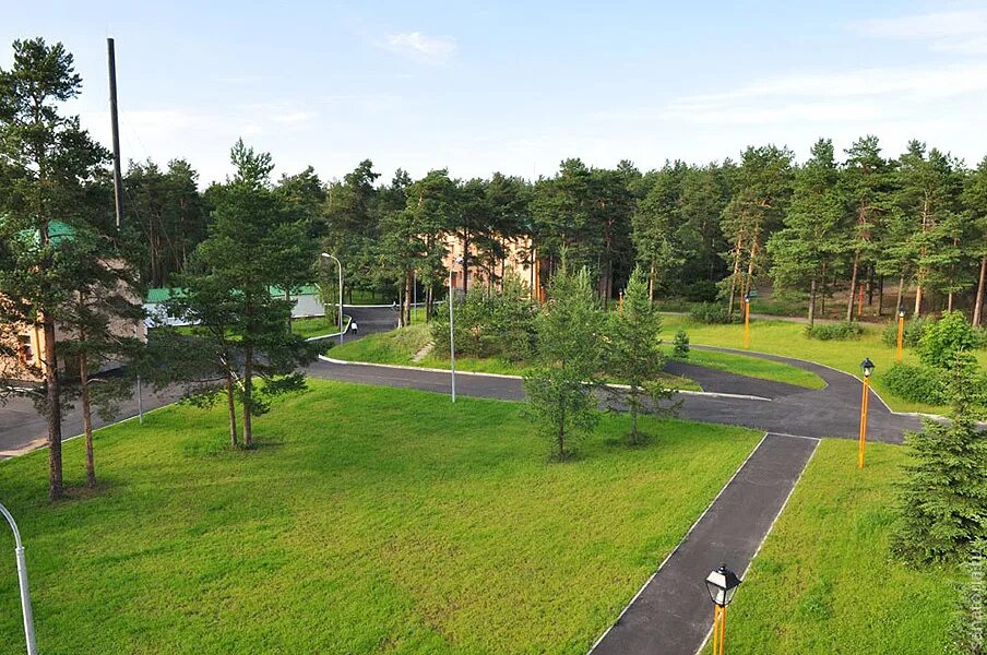 Парк зеленоград лес. Зеленоградский лесопарк зеленоград. Зеленый пояс москвы. Зеленоград лесопарковая зона. Москвы.