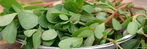 Balki mushukingizga vazelin surtilishi mumkin (jinsiy video)