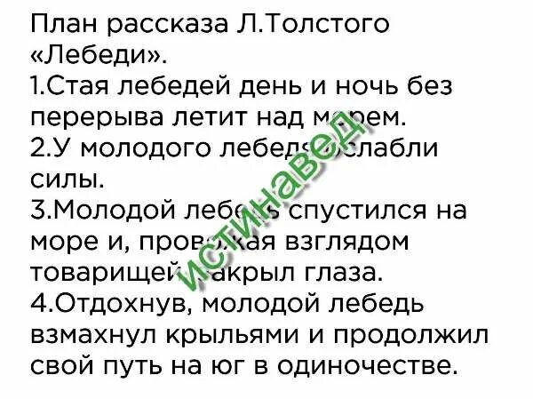 План рассказа лебеди. Лебеди толстой план. Лебеди толстой план рассказа. План рассказа Льва Толстого лебеди. Основная мысль лебеди толстого