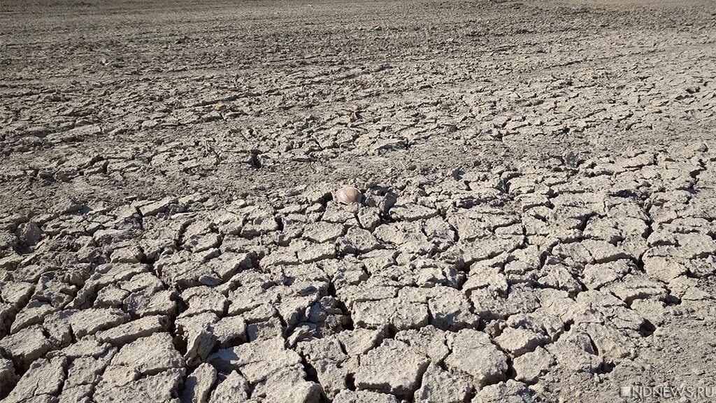 Засуха. Опустынивание. Засуха в России. Засуха на территории Европы.