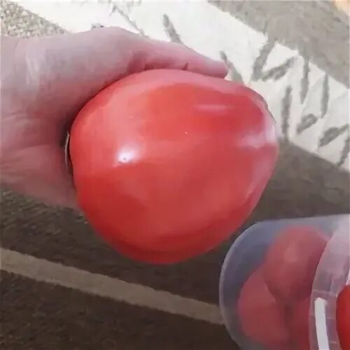Сорт томата сердце буйвола фото и описание