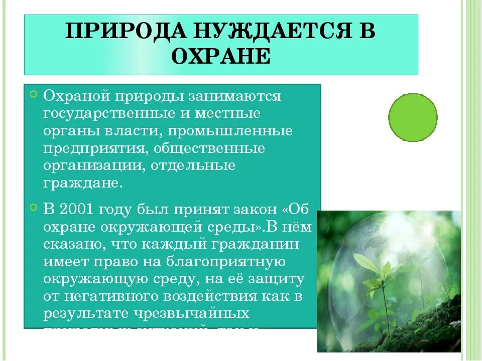 Значение для природы 5 класс. Доклад по теме охрана природы. Охрана природы это кратко. Доклад по охране природы. Доклад по защите природы.