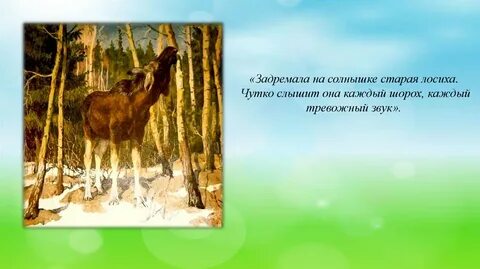 Каждый шорох