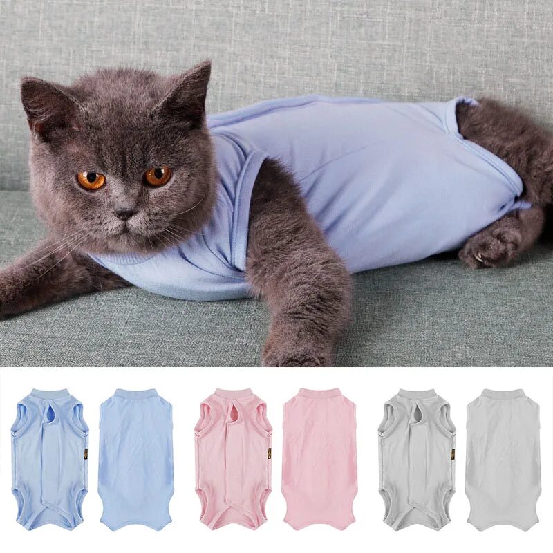 Помпона после стерилизации. Послеоперационная рубашка для кошки. Комбинезон для кошки после операции. Кошка с повязкой. Послеоперационный помпон для кошек.