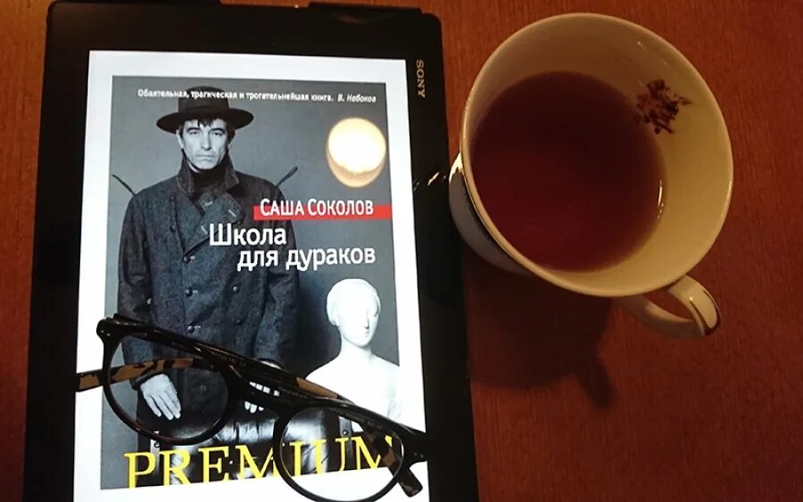 Книга школа для дураков. «Школа для дураков» Саши Соколова. Саша Соколов школа. «Школа для дураков» по роману Саши Соколова,. Школа для дураков Саша Соколов книга.