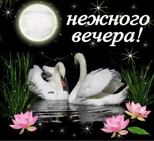 чудного вечера. чудесного вечера. доброго нежного вечера. добрый вечер красивые необычные. добрый нежный вечер картинки.