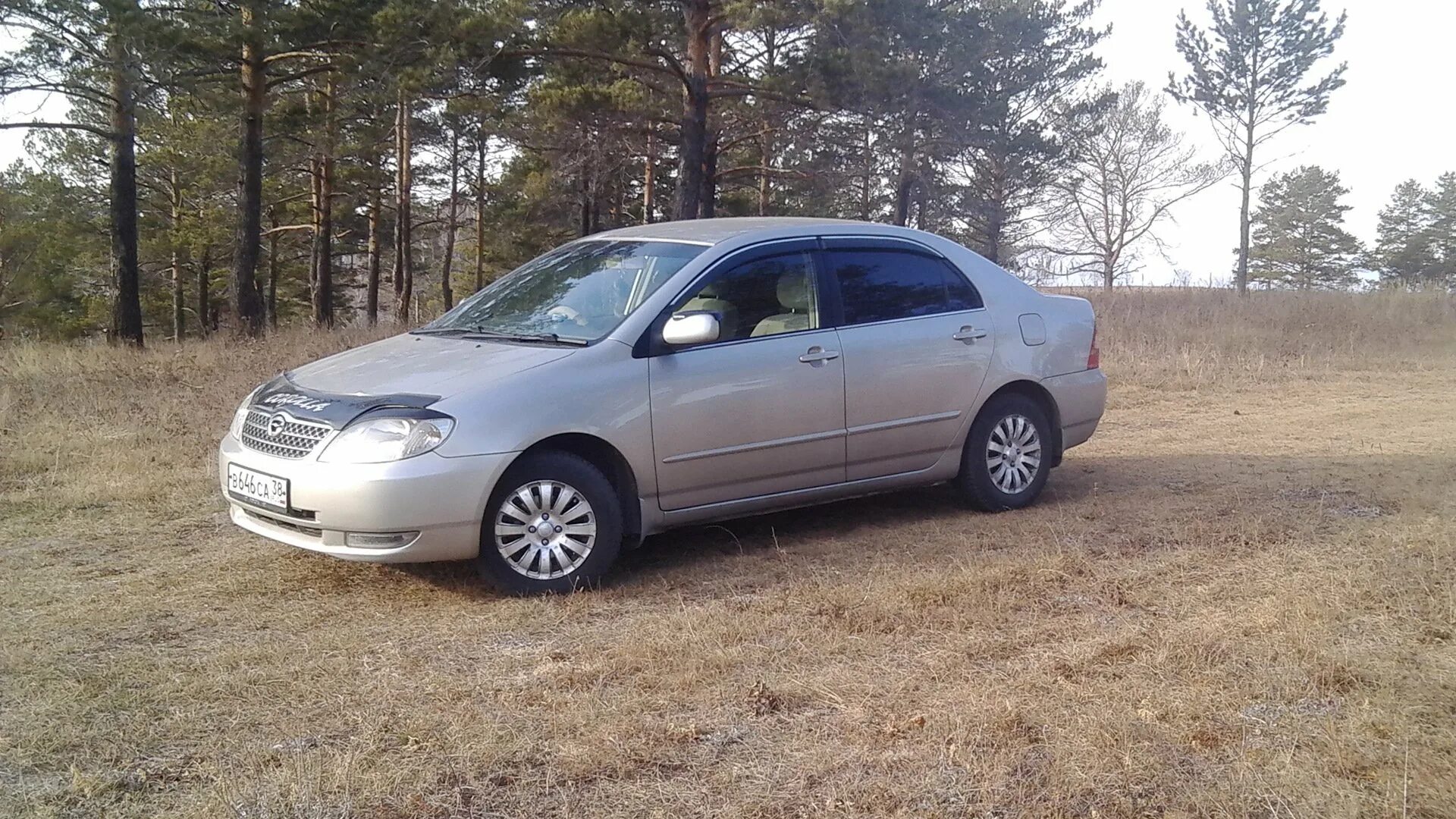 Тойота королла 120 омск купить. Тойота Королла е120. Toyota Corolla 120 кузов. Тойота Королла кузов е120. Тойота Королла 120 кузов седан.