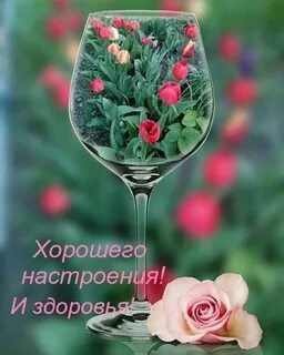 Крепкого здоровья цветы