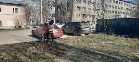 Посадка самара