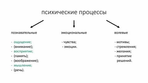 Свойства психического процесса речи