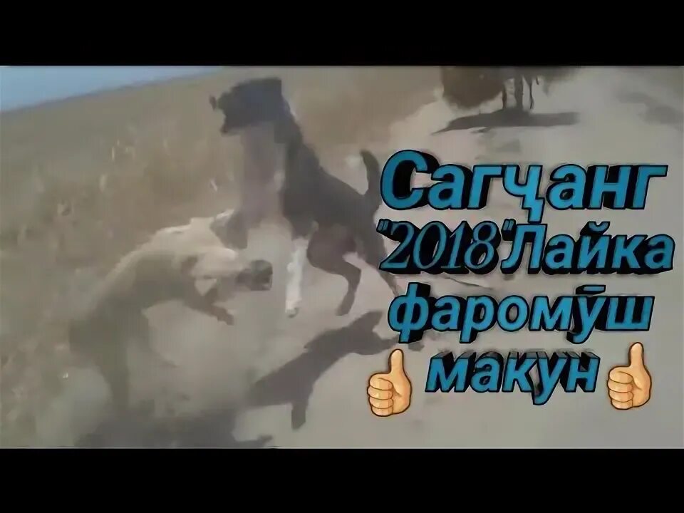 Саг чанг