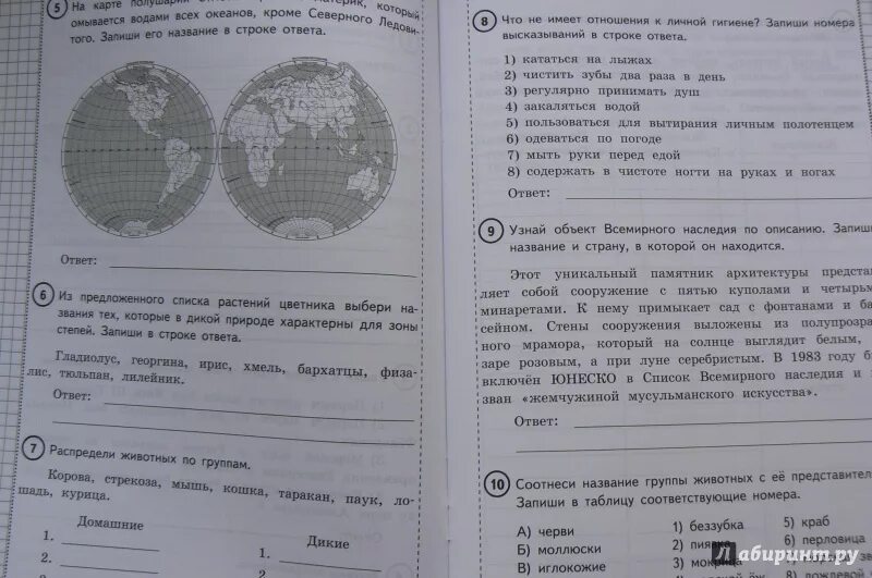 ВПР 4 класс Волкова Данилова Цитович. ВПР окружающий мир 4 класс Волкова Цитович ответы 10 вариантов 2022.