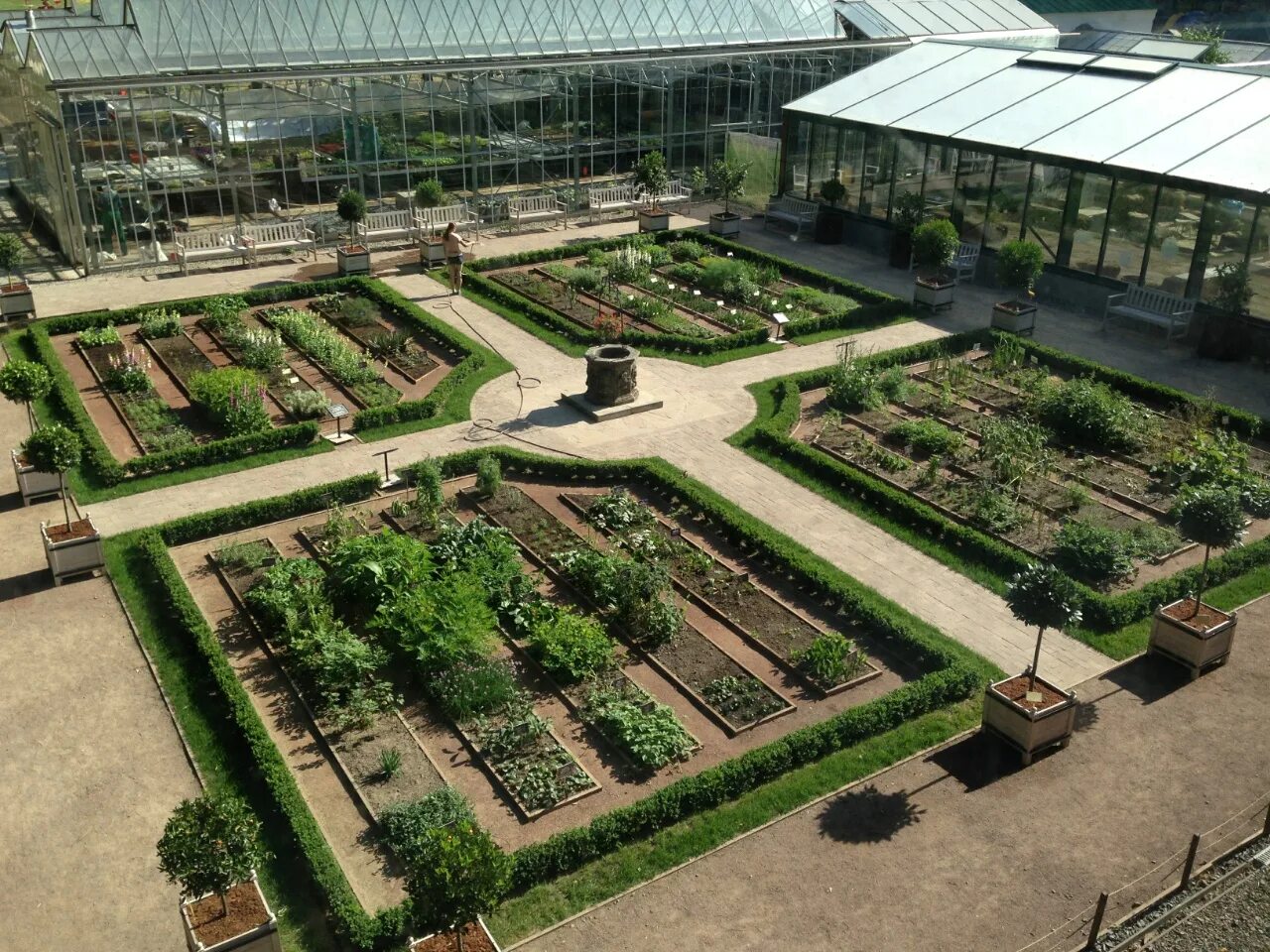 Павильон городская ферма на вднх. Ресторан городская ферма на вднх. Вднх сады мгу. Вднх огород. Вднх зоопарк ферма.