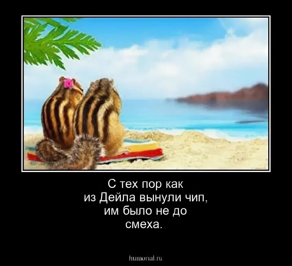 Песня везут тебя за мкад хотела