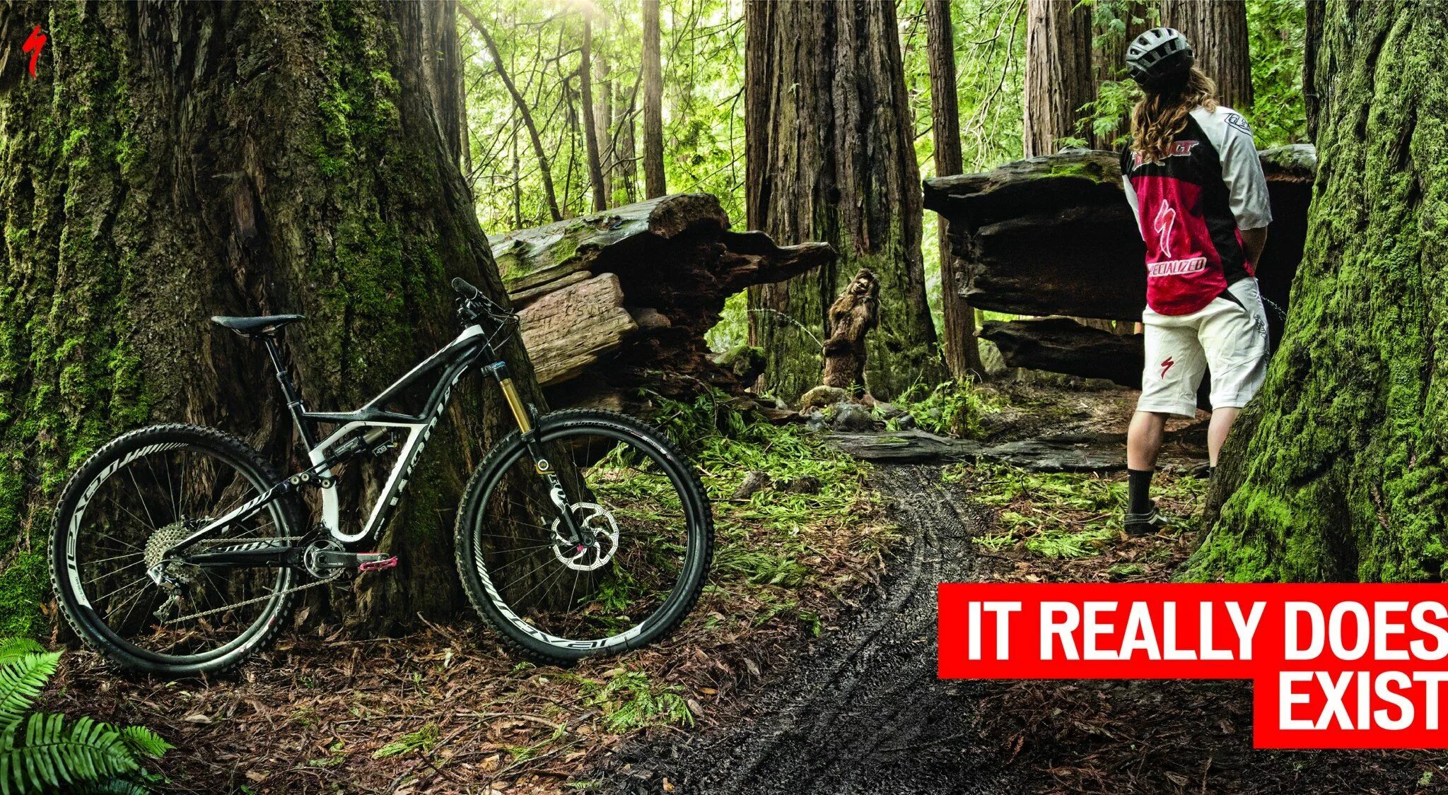 Вывеска изготовление бассейнов. Specialized enduro 29. Мастерская наружной рекламы. Логотип писателя. Author велосипеды реклама.