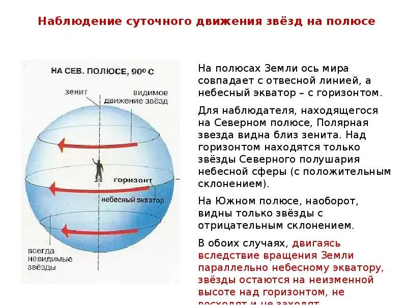 Наблюдение суточного движения звёзд на экваторе. Суточное движение звезд на Южном полюсе. Суточное движение звезд на полюсах земли. Движение звезд на Северном полюсе. Направление движения звезд