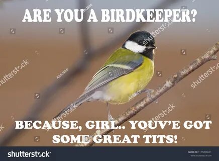 You Do Have Some Really Great Tits.