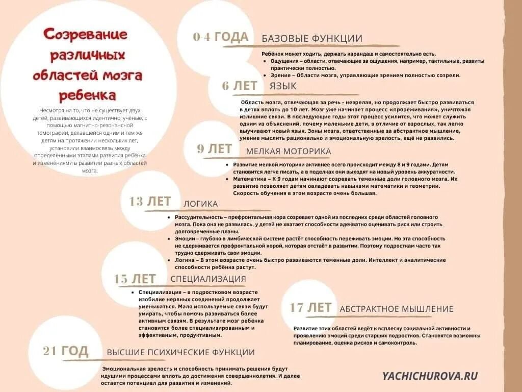 В каком возрасте формируется. Этапы развития мозга ребенка по годам. Этапы формирования мозга ребенка. Этапы созревания мозга у детей. Этапы созревания головного мозга.