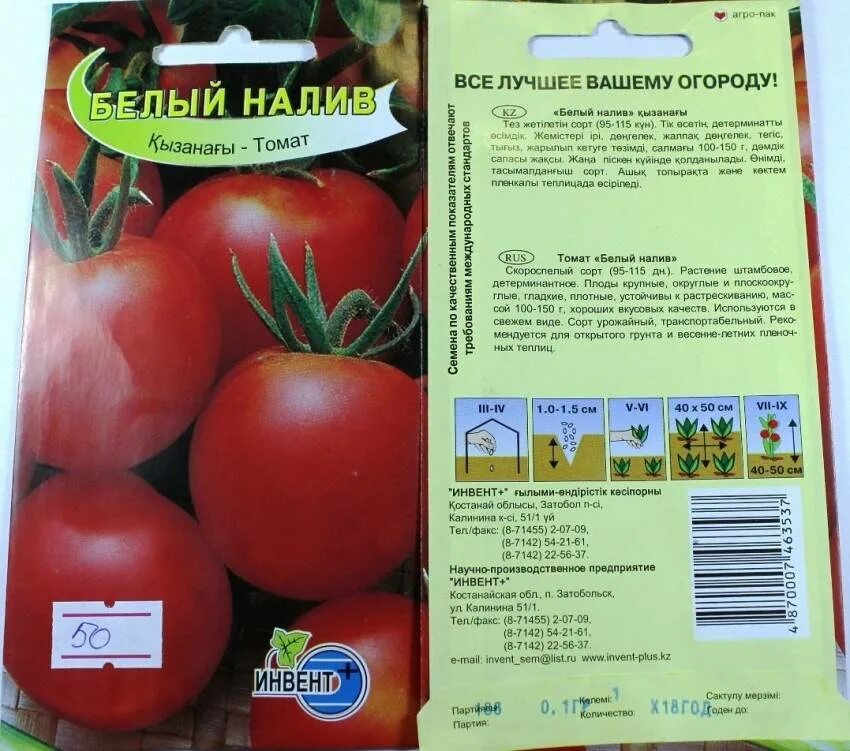 Сорт помидор белый налив 241. Томат белый налив 241 характеристика. Сорт помидор белый налив. Томат белый налив 241 фото урожайность характеристика