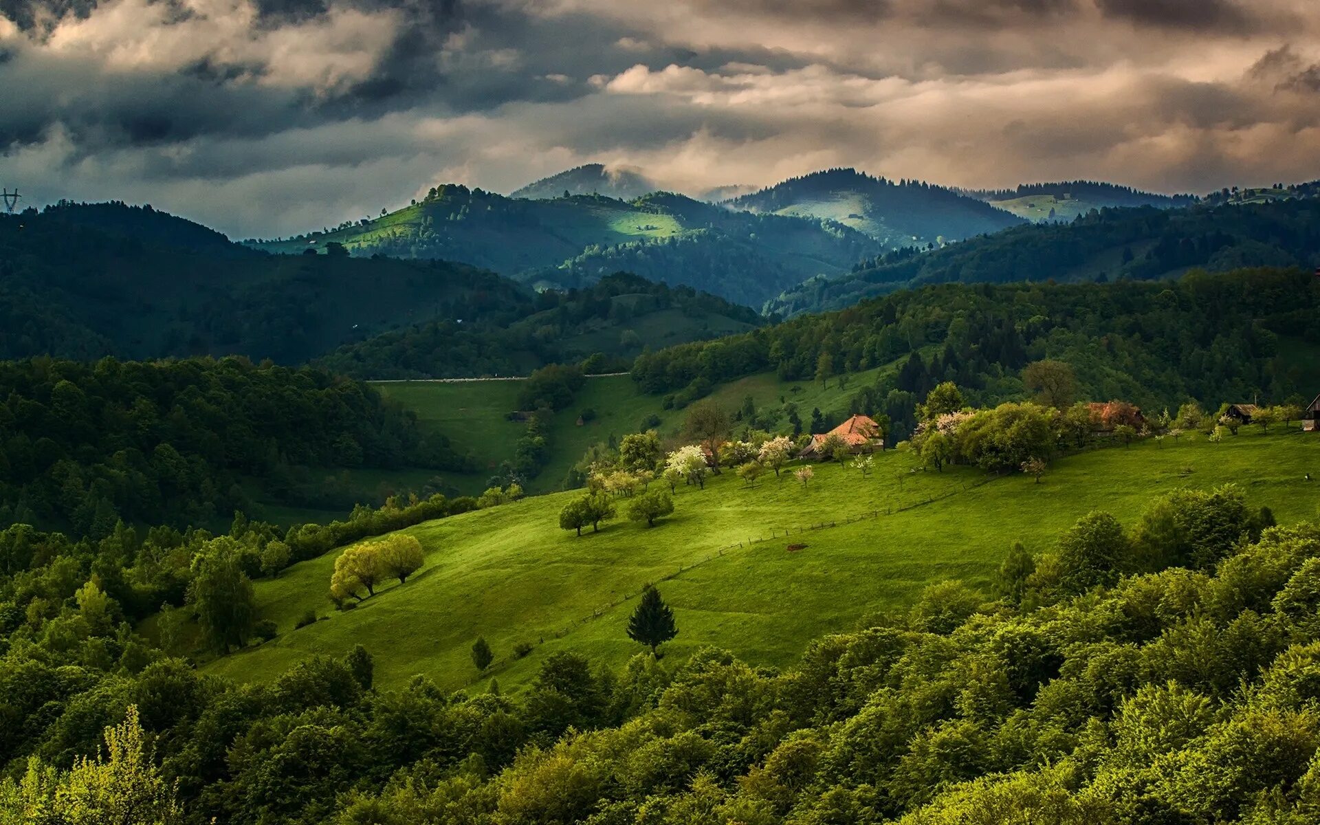 Spring valley лесная деревня