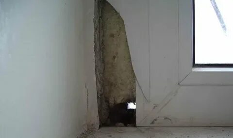 Ставят криво