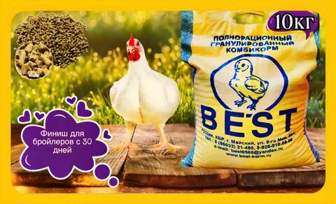 Комбикорм бест отзывы