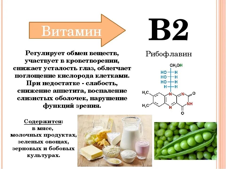 Б2 б6. Рибофлавин витамин роль витамина. Витамин b2 рибофлавин функции. Рибофлавин (витамин в12. Функции витамина в2 рибофлавин.