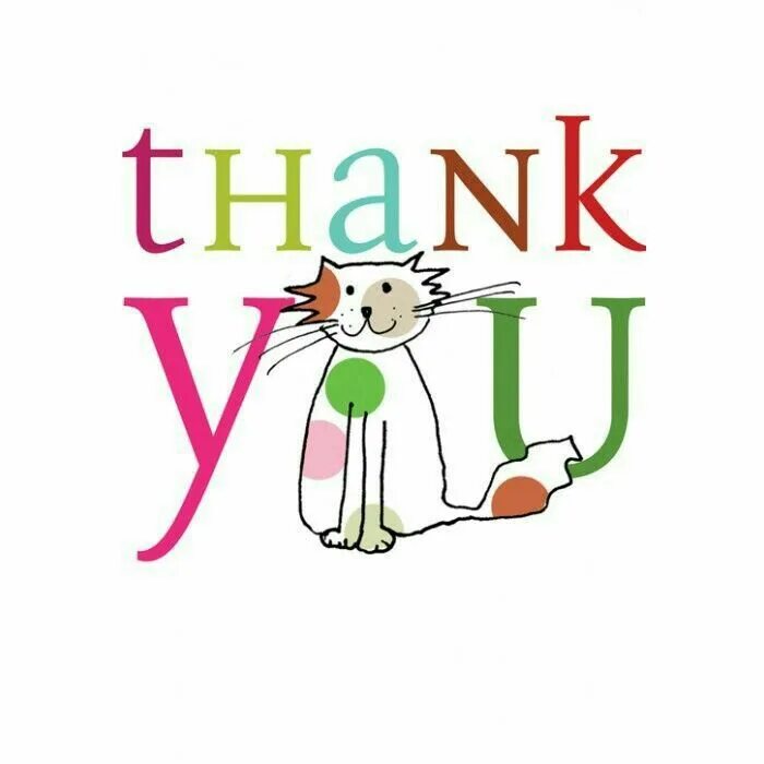 Thanks animals. Thank you. спасибо кошка. thank you for attention cat. it&#039;s all. thanks с котиком.