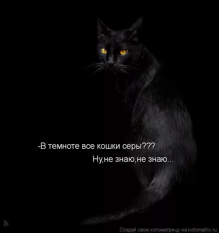 одиночество души. текст песни в темноте. темнота все слова. темнота все слова. цитаты кинга.