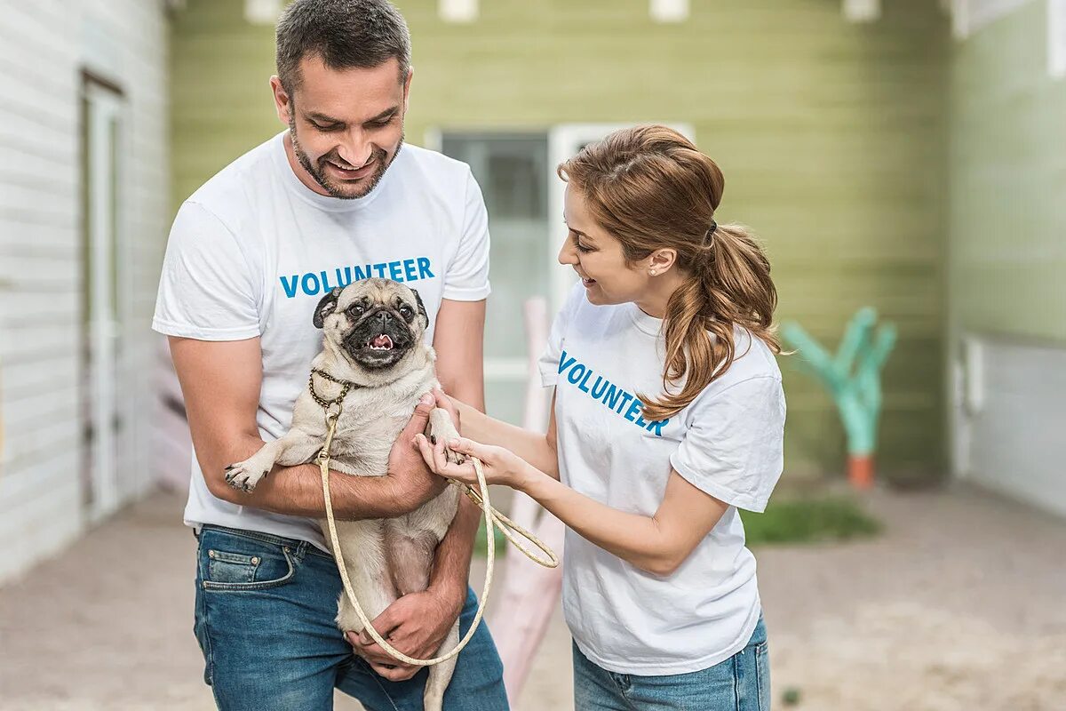 Volunteering at an animal shelter. Мопс на руках. Волонтеры в приюте для животных. Волонтерство с животными. Счастливые волонтеры.