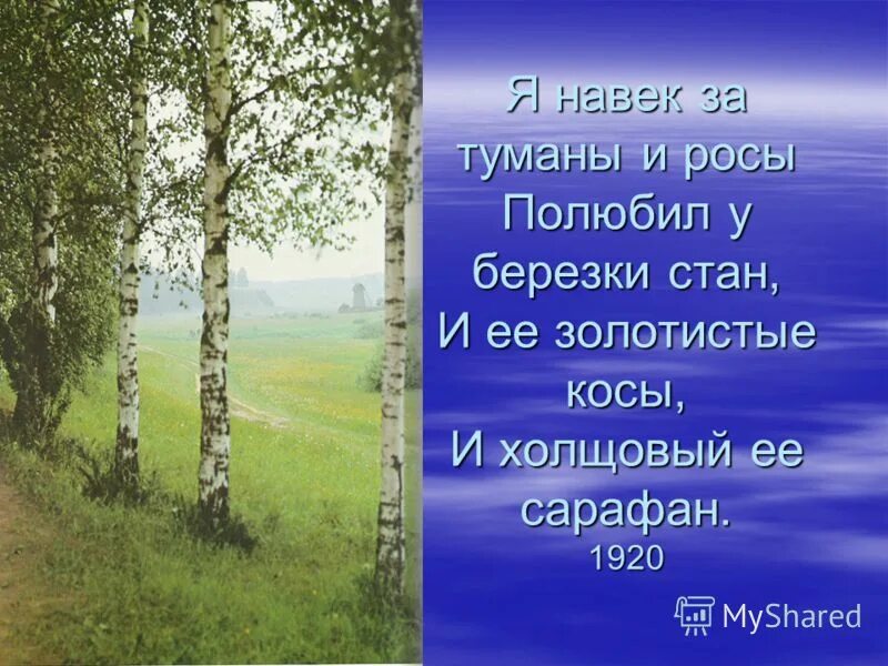 Стихотворение о берёзе я навек за туманы и росы. Стан Березки. Стих Есенина я навек за туманы и росы. Стихи о берёзе Есенин я навек. Я навек за туманы и росы полюбил