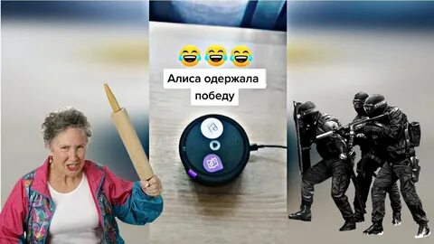 Тик алиса