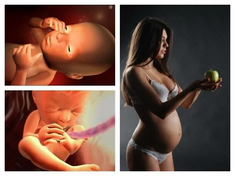 Ребенок в 26 недель в животе. Плод на 27 неделе беременности. Плод на 26-27 неделе беременности. Малыш на 25 неделе беременности.