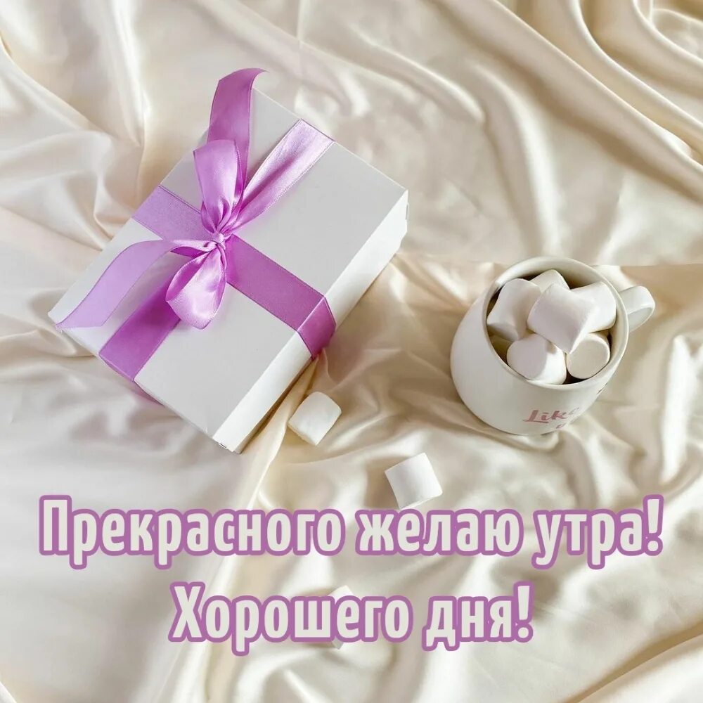 Доброго дня сестрички. Добрый день сестренка. хорошего дня сестра. отличного дня сестренка. хорошего дня сестренка картинки.