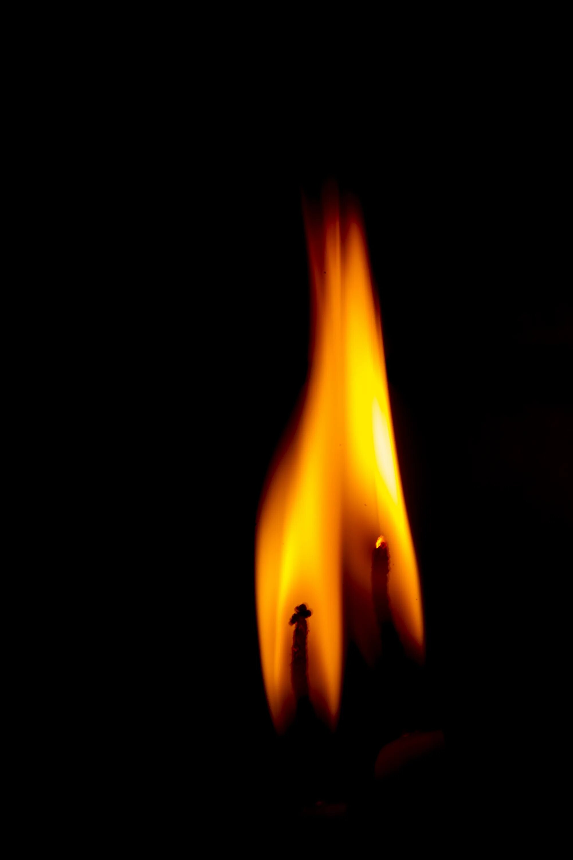 Тьма и пламя. Пламя сжигающее тьму. Огонь свечи картинка. Фото Yellow Fire. Сгоревший желтый