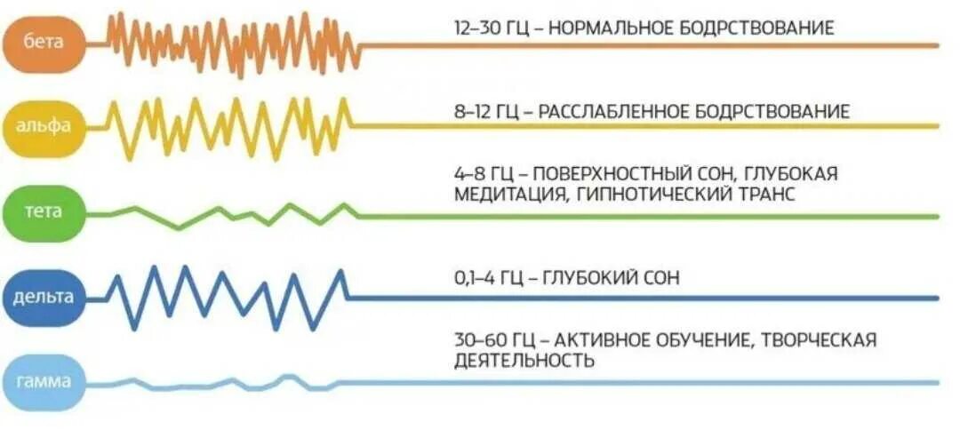 Альфа бета капитал. Волны мозга альфа бета тета. частоты альфа бета гамма тета ритмов. ритмы мозга альфа бета тета дельта ритмы. альфа бета тета дельта волны.