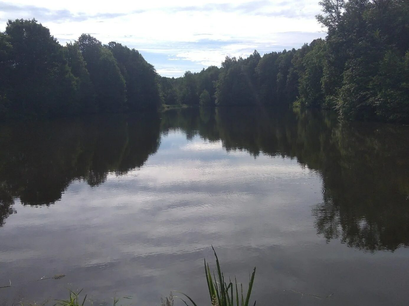 Красный холм рязанская. Дом в красном холме. Красный холм шиловского района рязанской области. Село красный холм рязанская область. Красный холм шиловского района рязанской области.