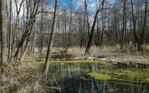 Железная река