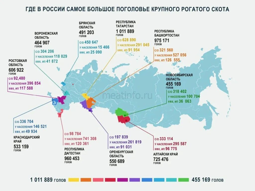 Страны по поголовью крупного. Поголовье молочных коров в России в 2020 году. Численность крупного рогатого скота в России. Поголовье крупного рогатого скота в мире в 2020 году. Численность крупного рогатого скота в России 2021.