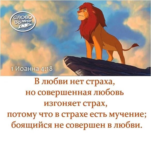 В любви нет страха. В любви нет страха но совершенная. В любви нет страха но совершенная любовь изгоняет страх Библия. Совершенная любовь изгоняет страх