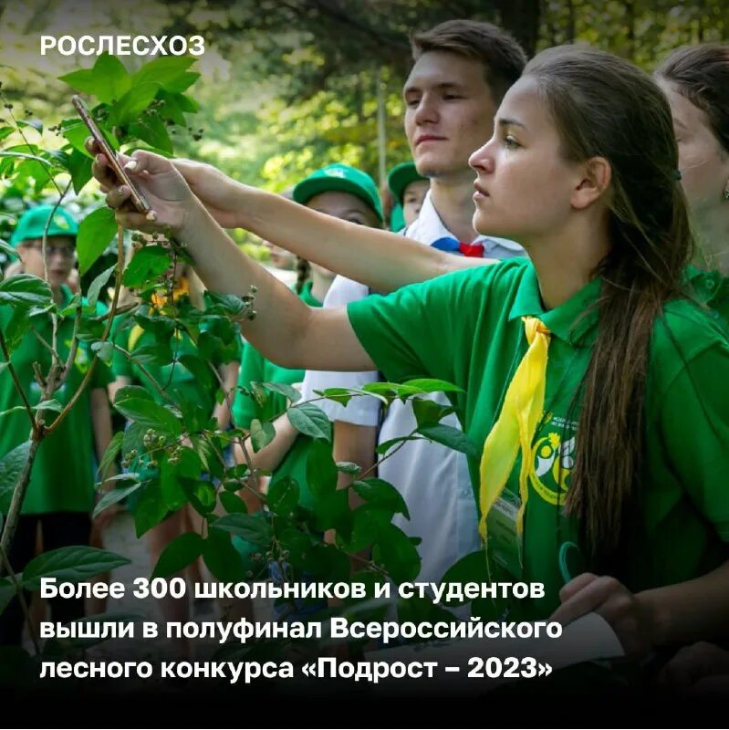 научно экспертный совет. советников иван васильевич рослесхоз. компания рослесхоз отзывы. содержание управления в сфере использования и охраны земель. рослесхоз 10 лет.