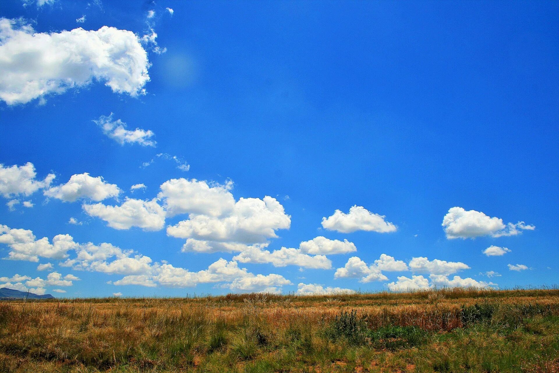 Песню небо голубое поле. Ясное небо. Голубое небо. Ясное небо фото. Красивые облака.