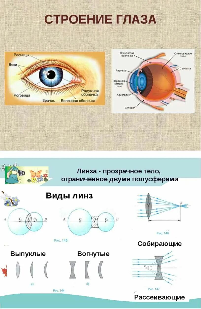 Тема урока глаз