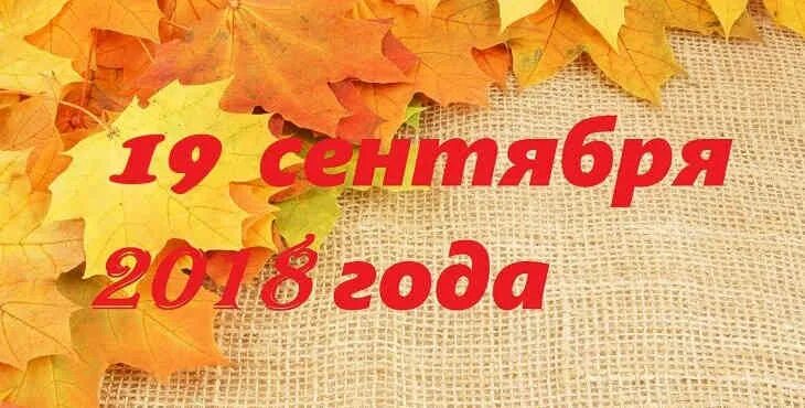 Кросс нации 2022 иркутск. Кросс нации 2022 новосибирск. День победы брянск. 17 сентябрь 2018. Кросс нации на старте.