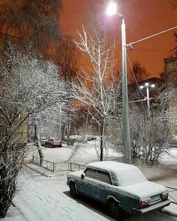 Ночью метель укрыла рябинку