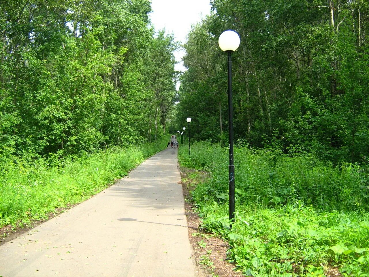 Парк южный кирово-чепецк. Комсомольский парк кирово чепецк. Виа контраст комсомольский парк кирово чепецк. Парки кирово чепецка. Лихолесье кирово-чепецк.