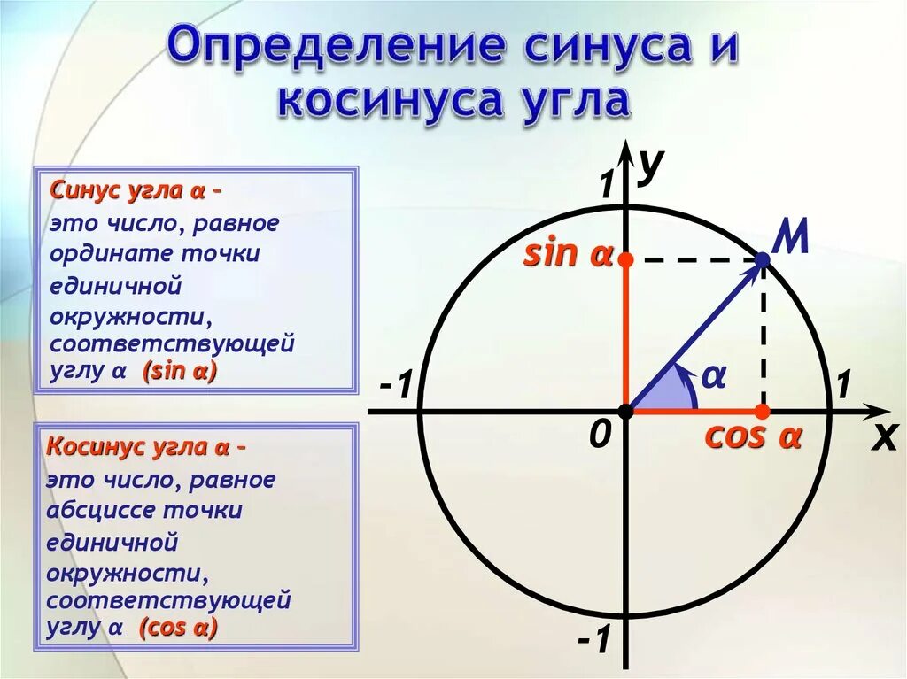 Найти косинус синус тангенс угла альфа. Определение синуса угла на единичной окружности. Понятие синуса и косинуса на единичной окружности. Синус и котангенс на окружности. Как определить синус угла.