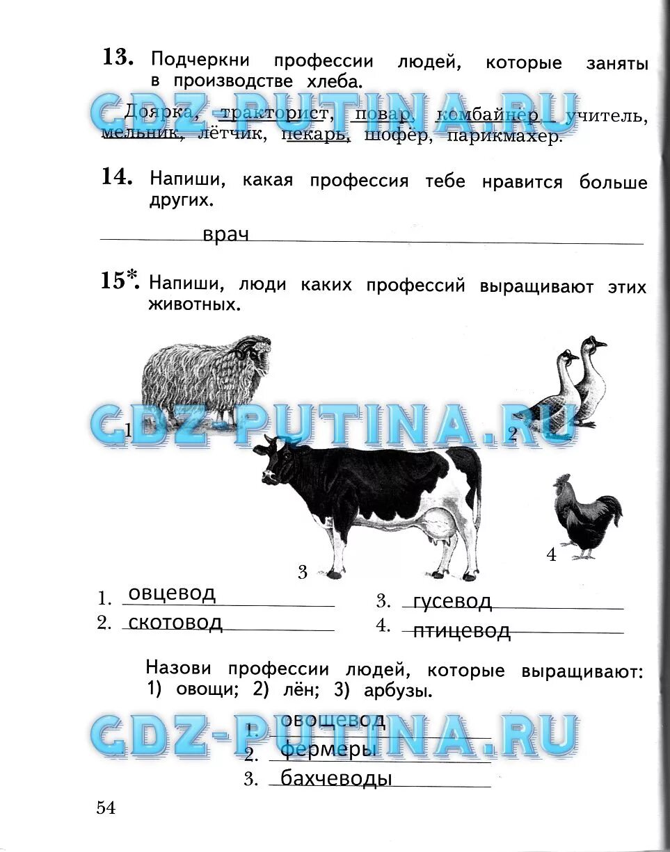 Люди каких профессий выращивают. Назови профессии людей,которые выращивают : лен. Назови профессии людей которые выращивают овощи. Гдз 2 класса 1 окружающий мир страница 54.