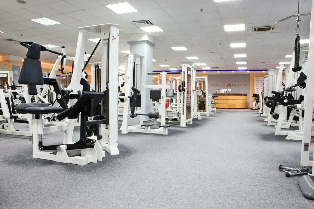 Марк аврелий измайловское ш 71к4г д фото Marcus Aurelius, fitness club, Москва, Измайловское шоссе, 71к4Г-Д Yandex Maps