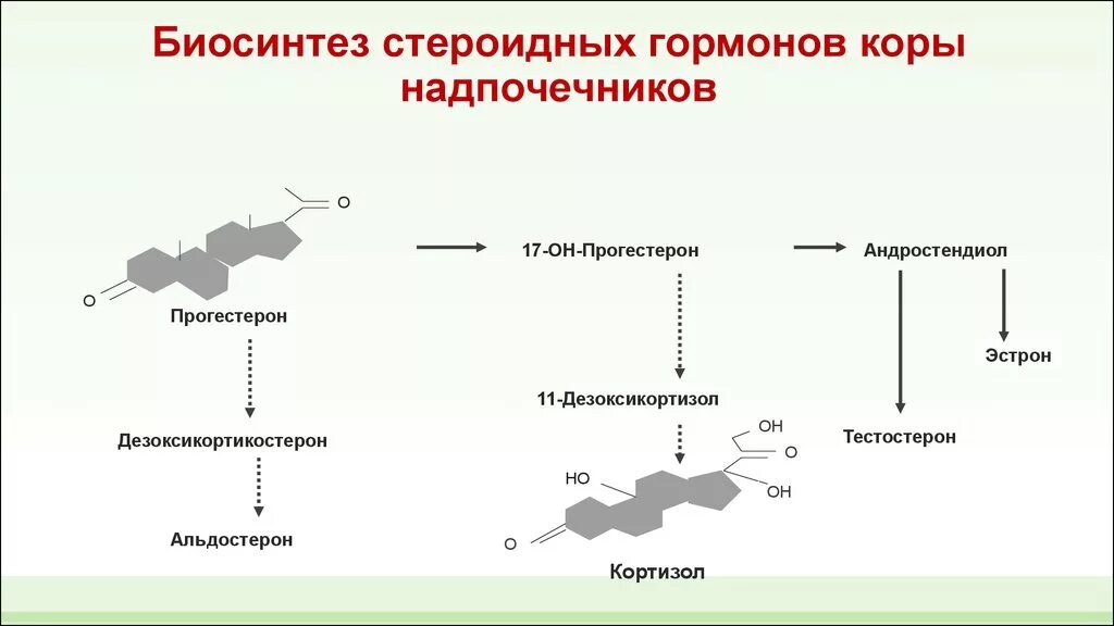 Восстановиться после гормонов. Схема синтеза стероидных гормонов. Схема биосинтеза стероидных гормонов в коре надпочечников. Синтез тестостерона схема. Схема синтеза гормонов надпочечников.